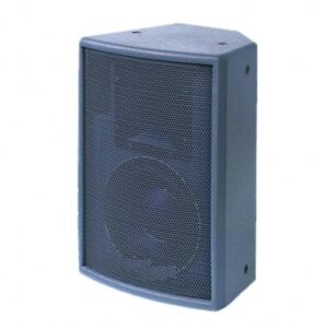 Επαγγελματικό Παθητικό Ηχείο 10" Alpha SP 10